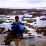 inspiration Polynésie Claire-Marie Fournier platier atoll manihi