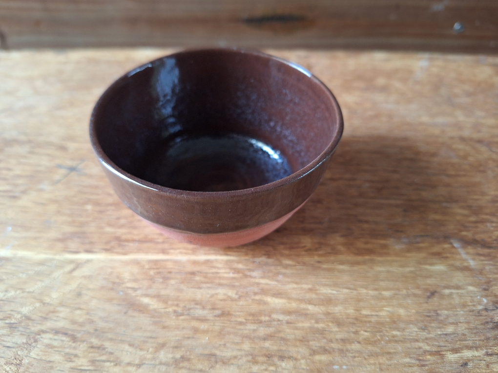 Email algue brune sur grès de noron