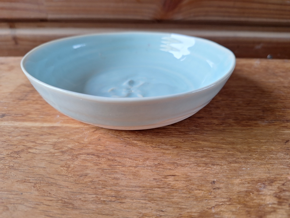 Email lagon sur porcelaine